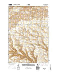 Tule Prong Washington Current topographic map, 1:24000 scale, 7.5 X 7.5 Minute, Year 2013