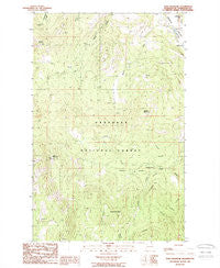 Tunk Mountain Washington Historical topographic map, 1:24000 scale, 7.5 X 7.5 Minute, Year 1988