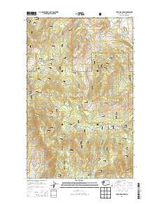 Tunk Mountain Washington Current topographic map, 1:24000 scale, 7.5 X 7.5 Minute, Year 2014