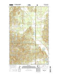 Tweedie Washington Current topographic map, 1:24000 scale, 7.5 X 7.5 Minute, Year 2014