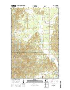 Tweedie Washington Current topographic map, 1:24000 scale, 7.5 X 7.5 Minute, Year 2014