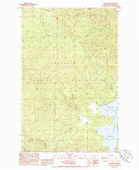 Twin Lakes Washington Historical topographic map, 1:24000 scale, 7.5 X 7.5 Minute, Year 1985