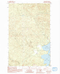 Twin Lakes Washington Historical topographic map, 1:24000 scale, 7.5 X 7.5 Minute, Year 1985