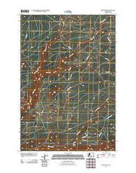 Twin Buttes Washington Historical topographic map, 1:24000 scale, 7.5 X 7.5 Minute, Year 2011