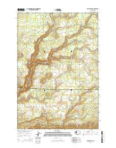 Twin Buttes Washington Current topographic map, 1:24000 scale, 7.5 X 7.5 Minute, Year 2014