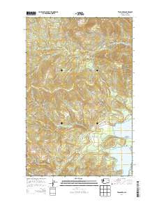Twin Lakes Washington Current topographic map, 1:24000 scale, 7.5 X 7.5 Minute, Year 2014