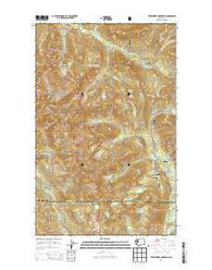 Twin Sisters Mountain Washington Current topographic map, 1:24000 scale, 7.5 X 7.5 Minute, Year 2014