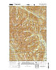 Twin Sisters Mountain Washington Current topographic map, 1:24000 scale, 7.5 X 7.5 Minute, Year 2014