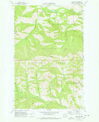 Twisp West Washington Historical topographic map, 1:24000 scale, 7.5 X 7.5 Minute, Year 1969