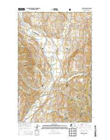 Twisp East Washington Current topographic map, 1:24000 scale, 7.5 X 7.5 Minute, Year 2014