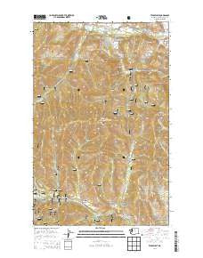 Twisp West Washington Current topographic map, 1:24000 scale, 7.5 X 7.5 Minute, Year 2014