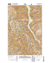 Tyee Mountain Washington Current topographic map, 1:24000 scale, 7.5 X 7.5 Minute, Year 2014