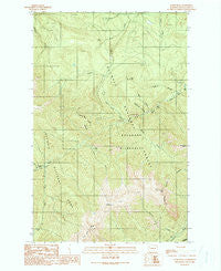 Tyler Peak Washington Historical topographic map, 1:24000 scale, 7.5 X 7.5 Minute, Year 1990