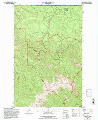 Tyler Peak Washington Historical topographic map, 1:24000 scale, 7.5 X 7.5 Minute, Year 1995