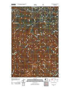 Tyler Peak Washington Historical topographic map, 1:24000 scale, 7.5 X 7.5 Minute, Year 2011