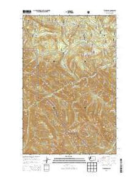 Tyler Peak Washington Current topographic map, 1:24000 scale, 7.5 X 7.5 Minute, Year 2014