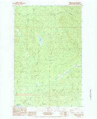 Umbrella Creek Washington Historical topographic map, 1:24000 scale, 7.5 X 7.5 Minute, Year 1984
