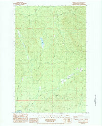 Umbrella Creek Washington Historical topographic map, 1:24000 scale, 7.5 X 7.5 Minute, Year 1984