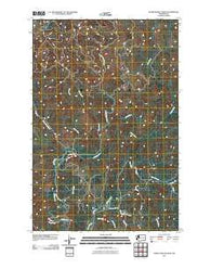 Upper Naselle River Washington Historical topographic map, 1:24000 scale, 7.5 X 7.5 Minute, Year 2011