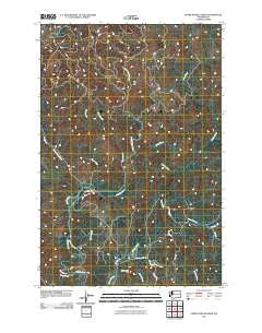 Upper Naselle River Washington Historical topographic map, 1:24000 scale, 7.5 X 7.5 Minute, Year 2011