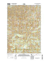 Upper Naselle River Washington Current topographic map, 1:24000 scale, 7.5 X 7.5 Minute, Year 2013