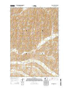 Valley Grove Washington Current topographic map, 1:24000 scale, 7.5 X 7.5 Minute, Year 2014