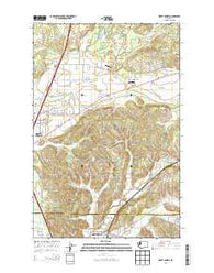 Violet Prairie Washington Current topographic map, 1:24000 scale, 7.5 X 7.5 Minute, Year 2013