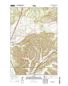 Violet Prairie Washington Current topographic map, 1:24000 scale, 7.5 X 7.5 Minute, Year 2013