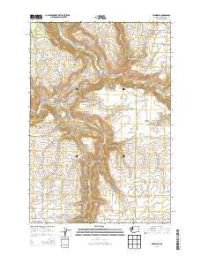 Wahkiacus Washington Current topographic map, 1:24000 scale, 7.5 X 7.5 Minute, Year 2014