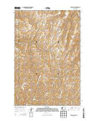 Waitsburg NW Washington Current topographic map, 1:24000 scale, 7.5 X 7.5 Minute, Year 2014