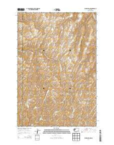 Waitsburg NW Washington Current topographic map, 1:24000 scale, 7.5 X 7.5 Minute, Year 2014