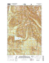 Walupt Lake Washington Current topographic map, 1:24000 scale, 7.5 X 7.5 Minute, Year 2014