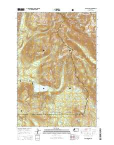 Walupt Lake Washington Current topographic map, 1:24000 scale, 7.5 X 7.5 Minute, Year 2014