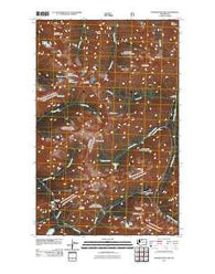 Washington Pass Washington Historical topographic map, 1:24000 scale, 7.5 X 7.5 Minute, Year 2011