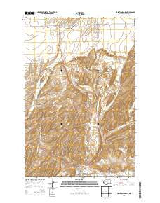 Washtucna North Washington Current topographic map, 1:24000 scale, 7.5 X 7.5 Minute, Year 2013