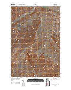 Washtucna South Washington Historical topographic map, 1:24000 scale, 7.5 X 7.5 Minute, Year 2011