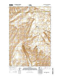 Washtucna South Washington Current topographic map, 1:24000 scale, 7.5 X 7.5 Minute, Year 2014