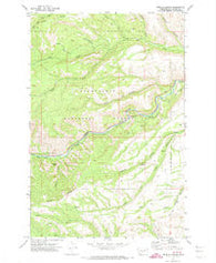 Weddle Canyon Washington Historical topographic map, 1:24000 scale, 7.5 X 7.5 Minute, Year 1971
