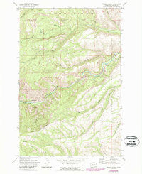 Weddle Canyon Washington Historical topographic map, 1:24000 scale, 7.5 X 7.5 Minute, Year 1971