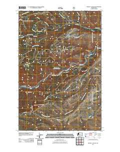 Weddle Canyon Washington Historical topographic map, 1:24000 scale, 7.5 X 7.5 Minute, Year 2011