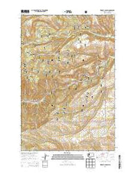Weddle Canyon Washington Current topographic map, 1:24000 scale, 7.5 X 7.5 Minute, Year 2014