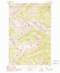 Wellesley Peak Washington Historical topographic map, 1:24000 scale, 7.5 X 7.5 Minute, Year 1990