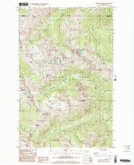 Wellesley Peak Washington Historical topographic map, 1:24000 scale, 7.5 X 7.5 Minute, Year 1999