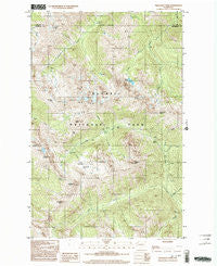 Wellesley Peak Washington Historical topographic map, 1:24000 scale, 7.5 X 7.5 Minute, Year 1999