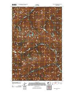Wellesley Peak Washington Historical topographic map, 1:24000 scale, 7.5 X 7.5 Minute, Year 2011