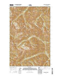 Wellesley Peak Washington Current topographic map, 1:24000 scale, 7.5 X 7.5 Minute, Year 2014