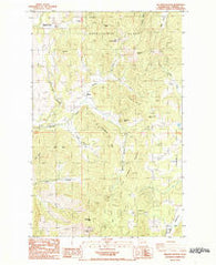 Wellington Peak Washington Historical topographic map, 1:24000 scale, 7.5 X 7.5 Minute, Year 1985