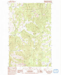 Wellington Peak Washington Historical topographic map, 1:24000 scale, 7.5 X 7.5 Minute, Year 1985