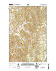 Wellington Peak Washington Current topographic map, 1:24000 scale, 7.5 X 7.5 Minute, Year 2014