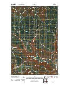 Wellpinit Washington Historical topographic map, 1:24000 scale, 7.5 X 7.5 Minute, Year 2011